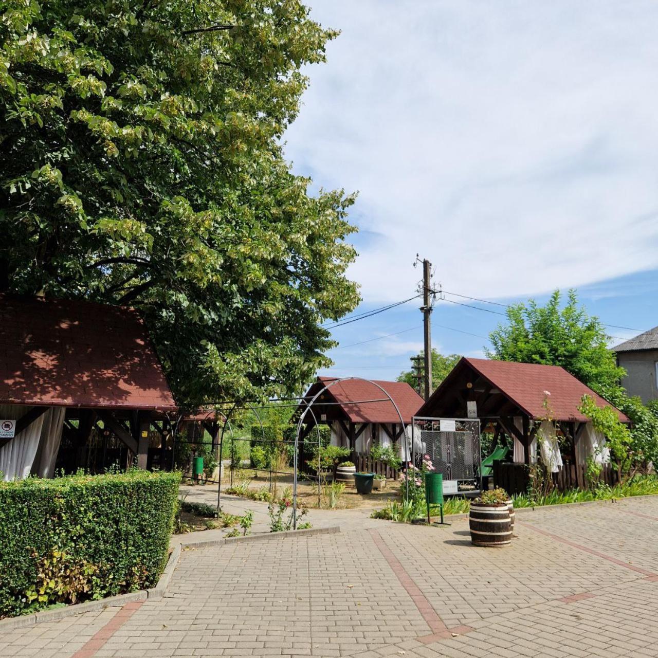 Hotel Helikon Яноши Экстерьер фото