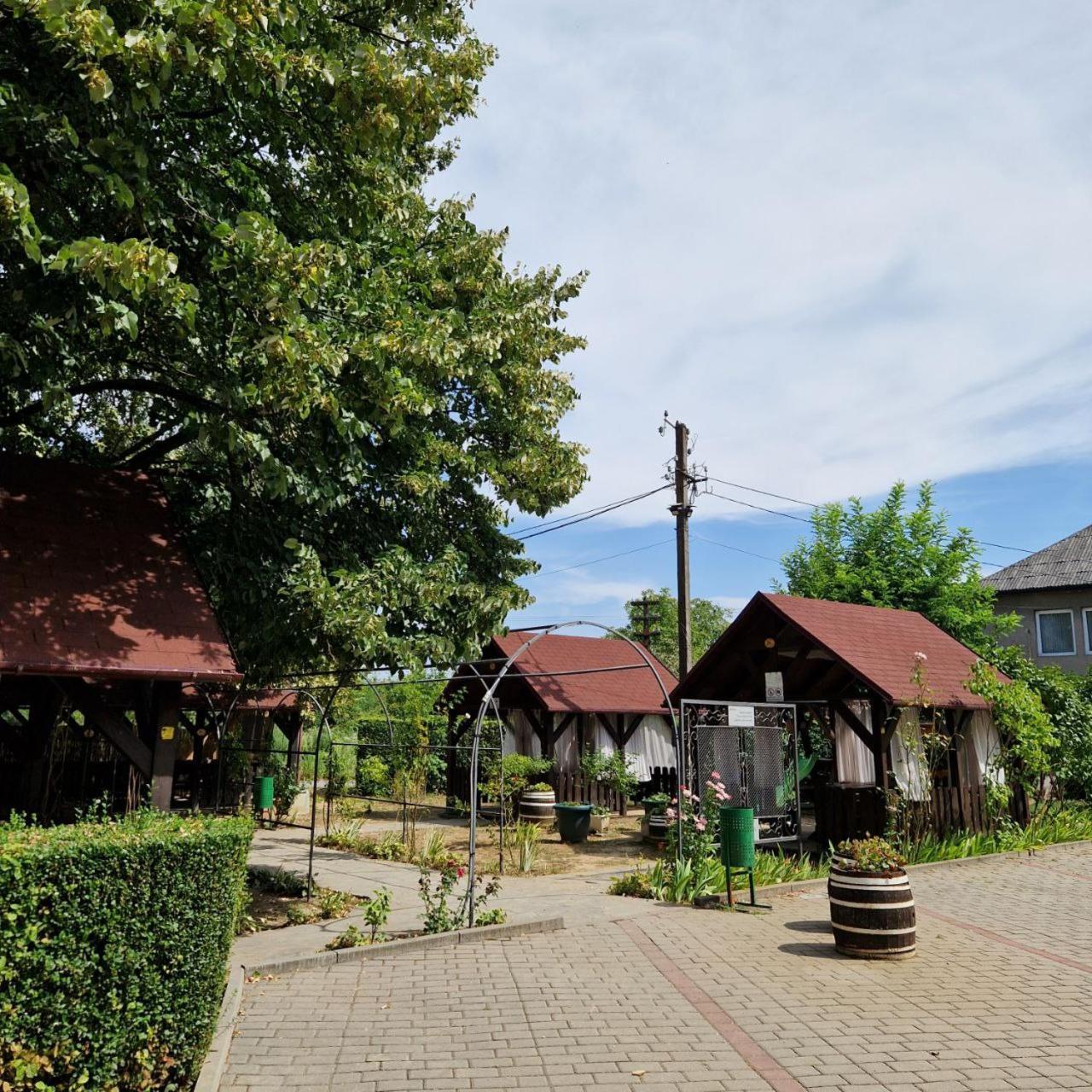 Hotel Helikon Яноши Экстерьер фото